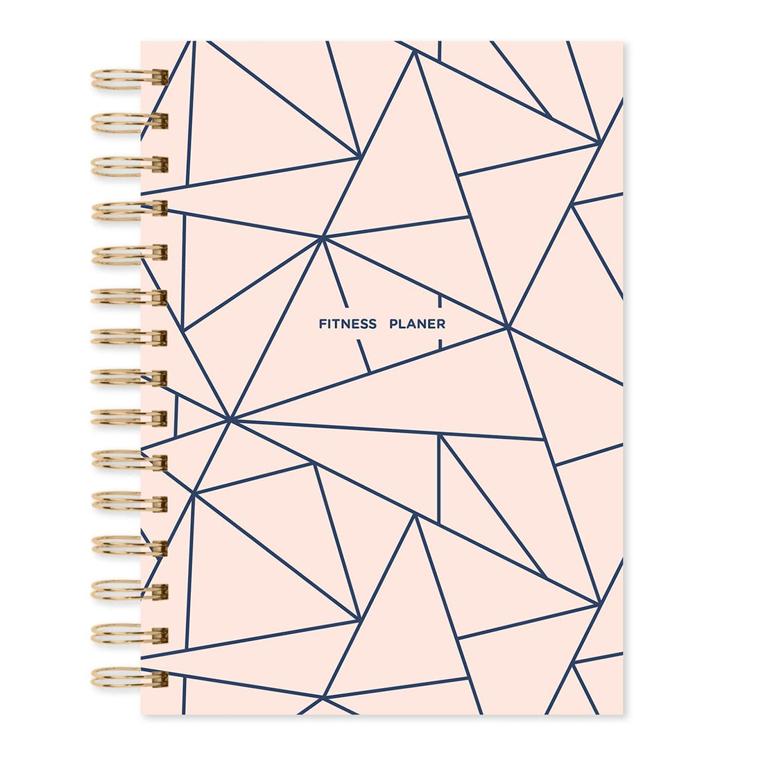 Fitness planer naslovnica pink pozadina sa plavim crtama